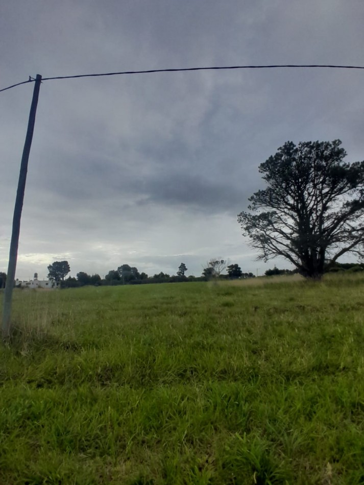 venta terreno en el Marquesado